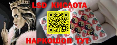 spice Котовск
