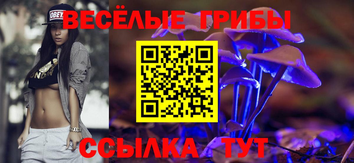  КОКАИН Сосновый Бор