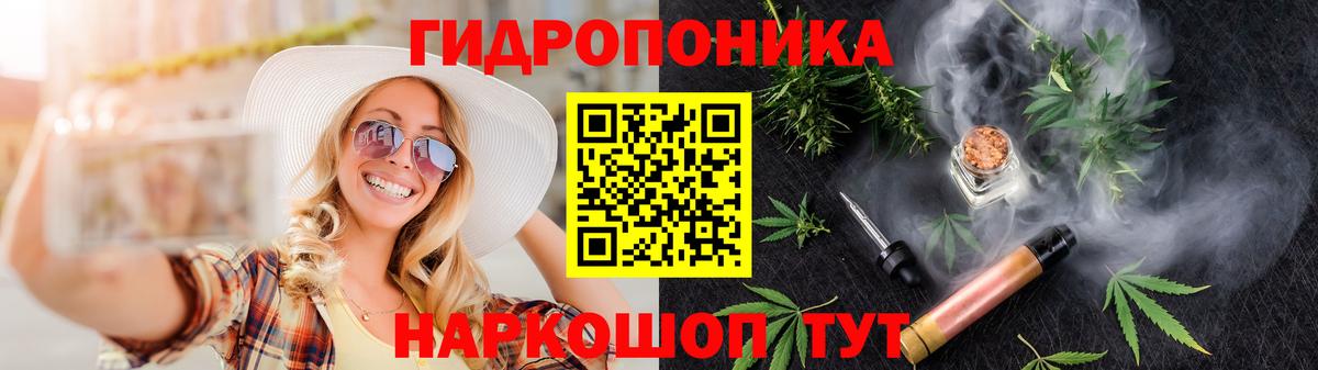 Сосновый Бор  МАРИХУАНА ГИДРОПОН  Конопля гибрид  Вход с VPN 