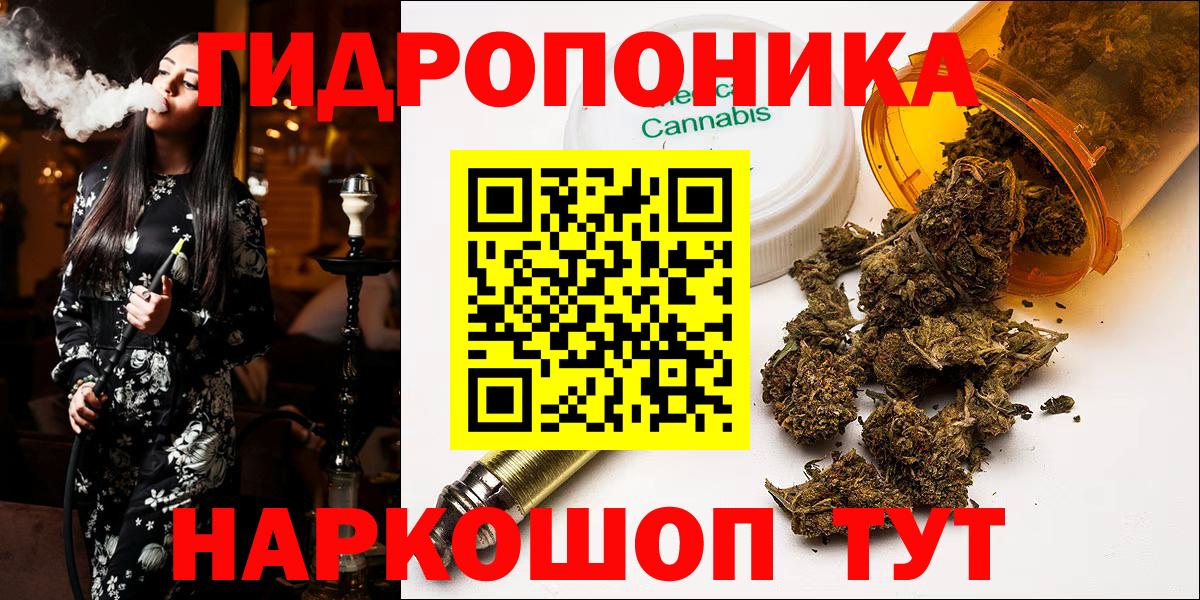 Каннабис AK-47 Сосновый Бор